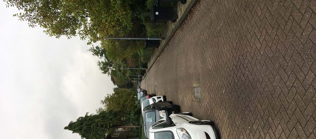 Grote schoonmaakactie in de Dalen in Vre