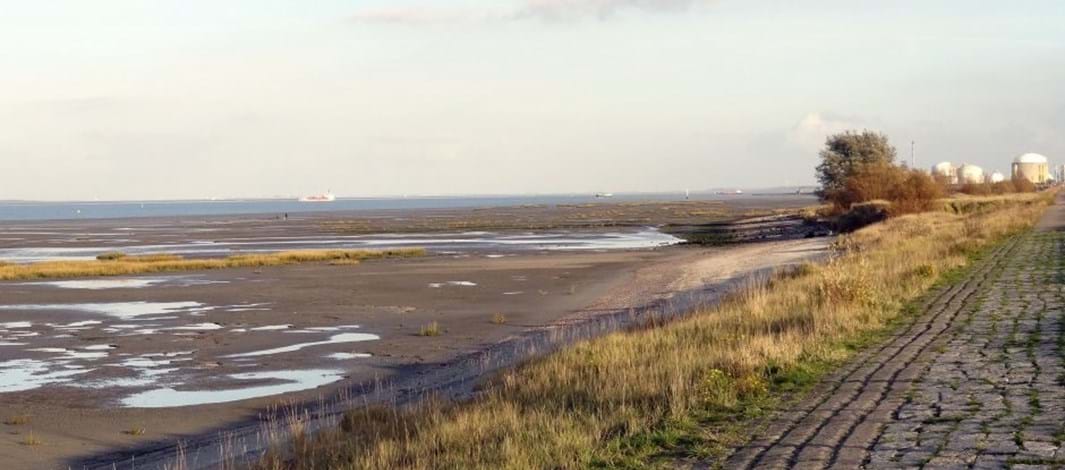 Schone Schelde - locatie Paulinaschor