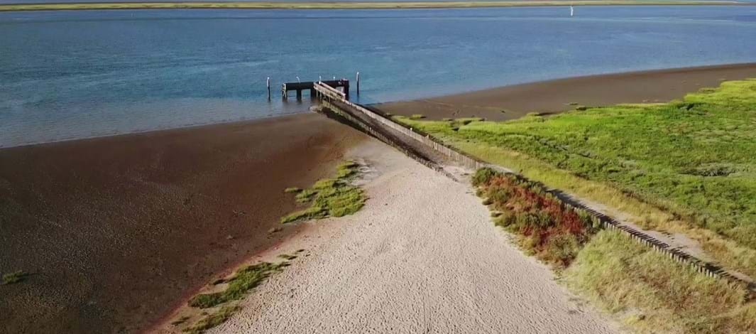 Verzet! Schone Schelde - Hoofdplaat