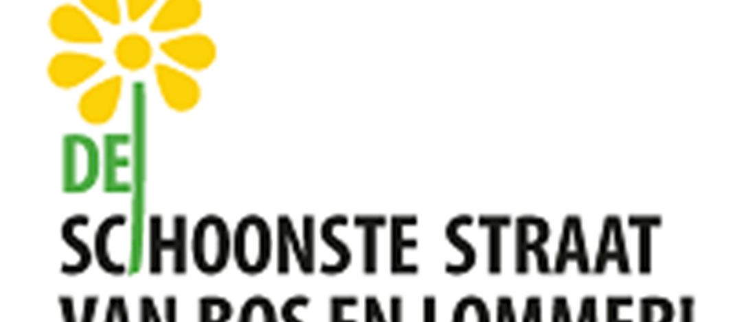 De schoonste straat van Bos en Lommer