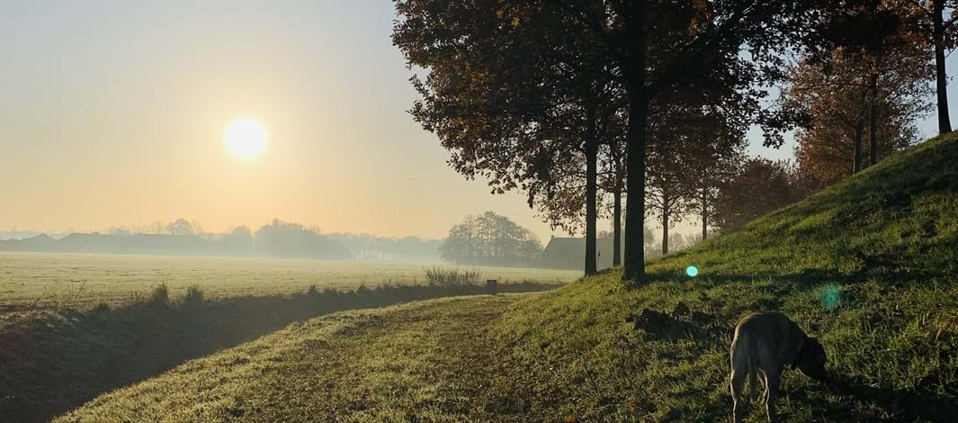 KleinOverveld