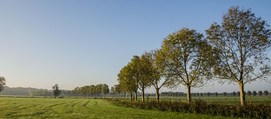 Hessum Vennenberg Rechteren