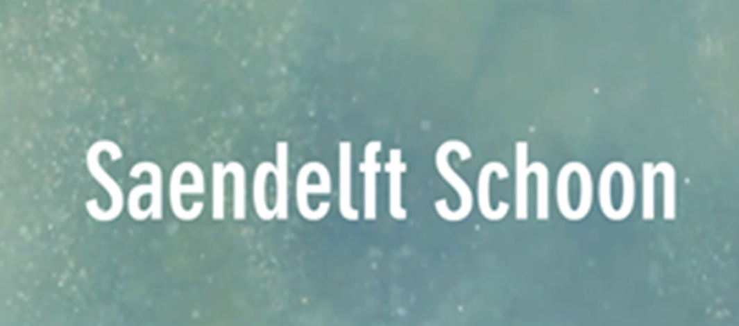 Schoonmaak actie Saendelft West