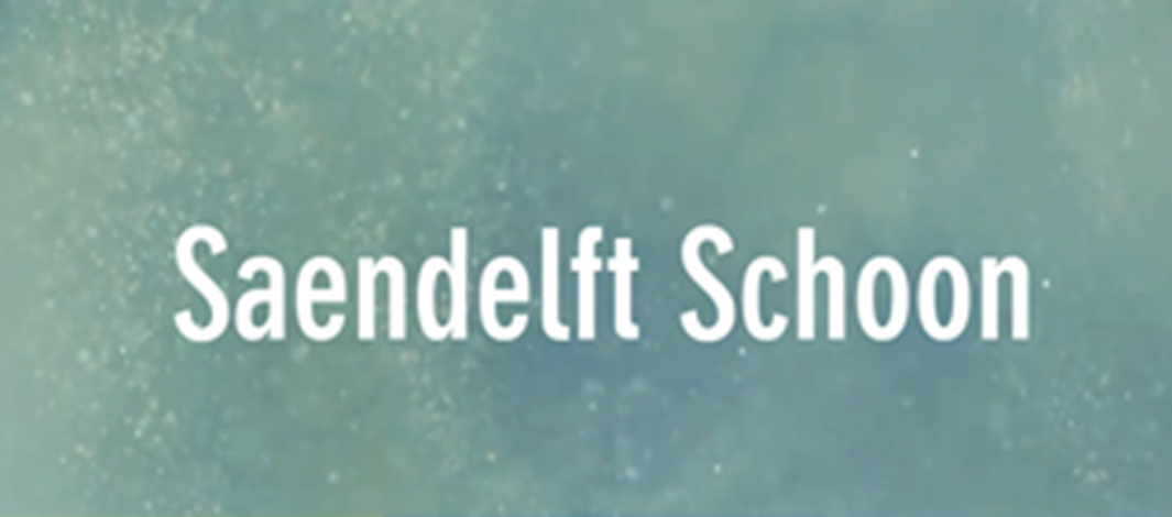 Saendelft Schoon - Oost