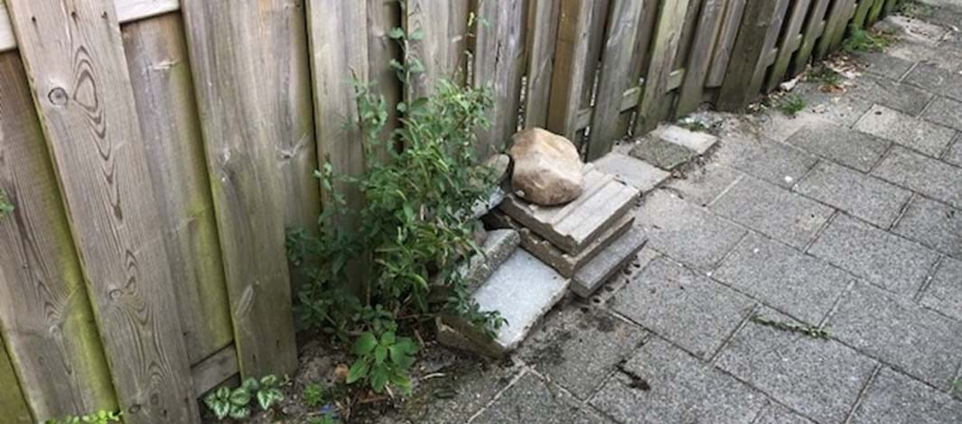 Zwerftegels uit Brabant en Limburg buurt