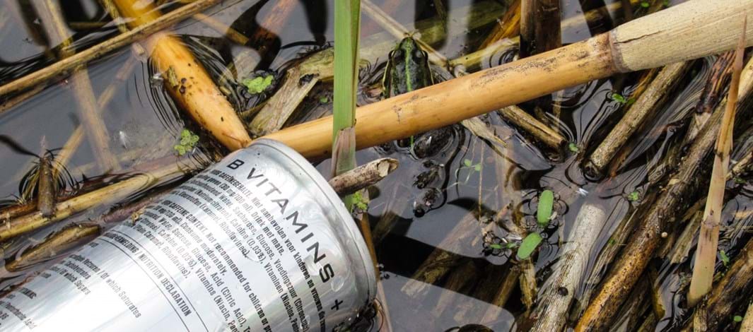 Waterwerkgroep IVN Gemert-Bakel