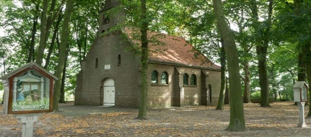 Nijhoven - Veldbraak - Kievit