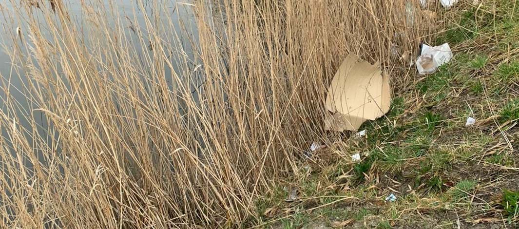 1e opruimactie van het eiland