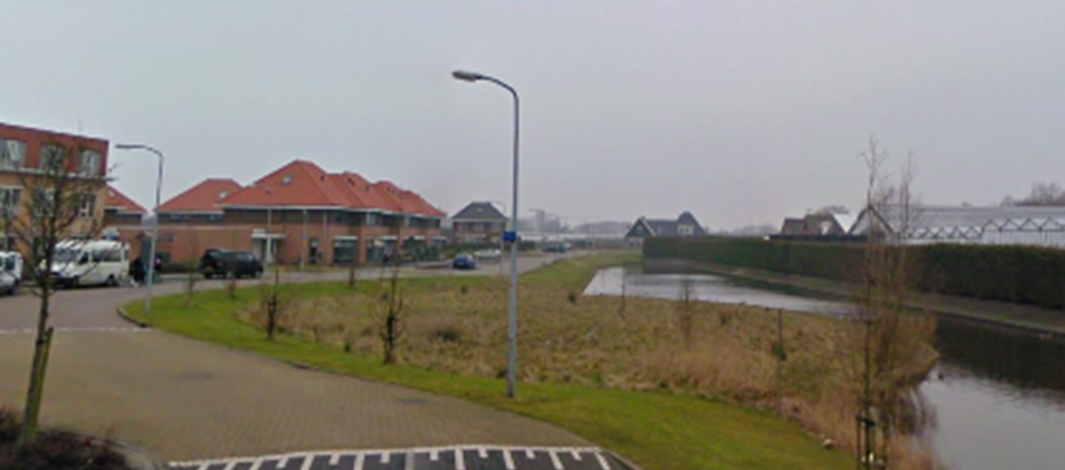 Rietgans