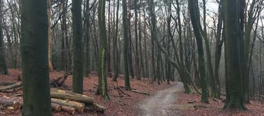 Goeman en Sonsbeek