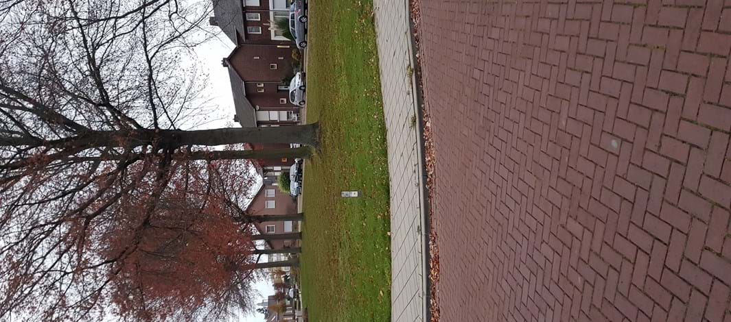 Gazon Kerkveldsweg West