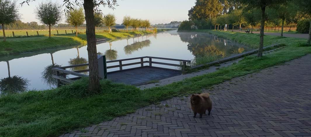 De haven