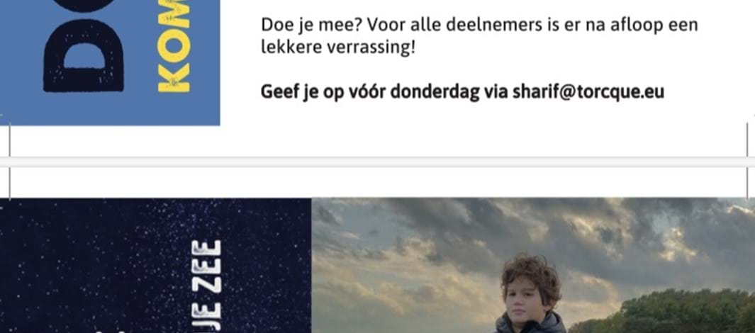 Heggerank koedijk Beemd staringcollege