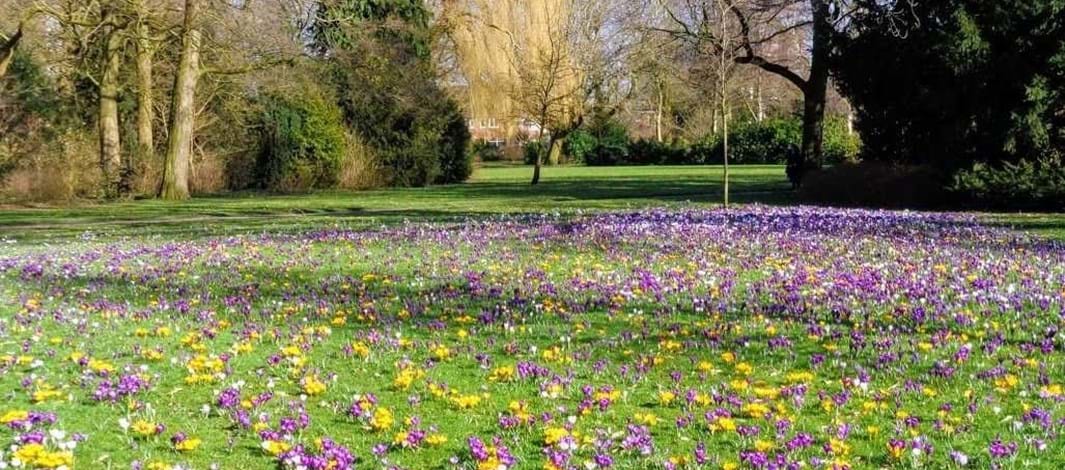 Dr. Zamenhofpark