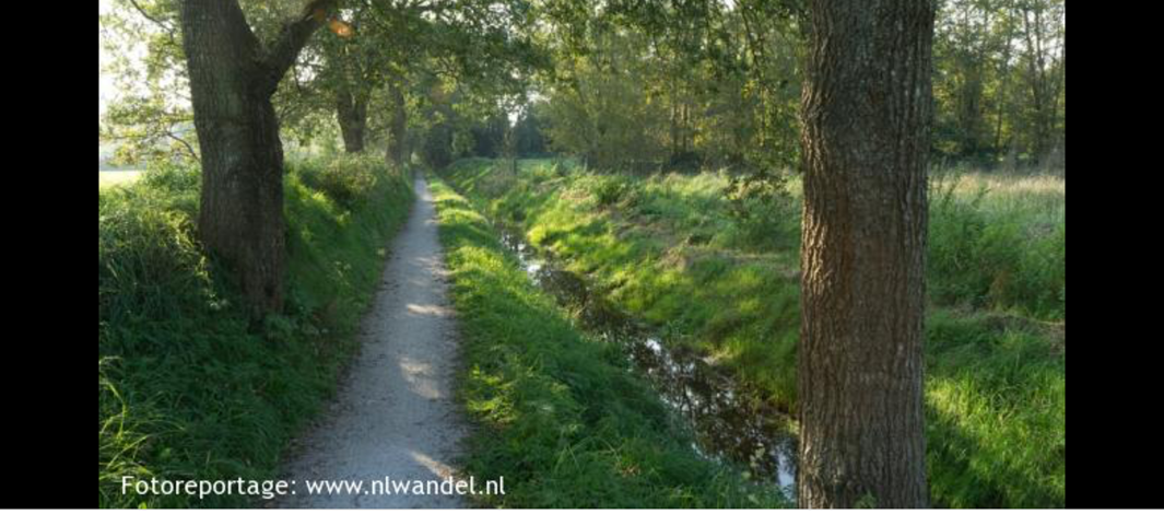 De westereen