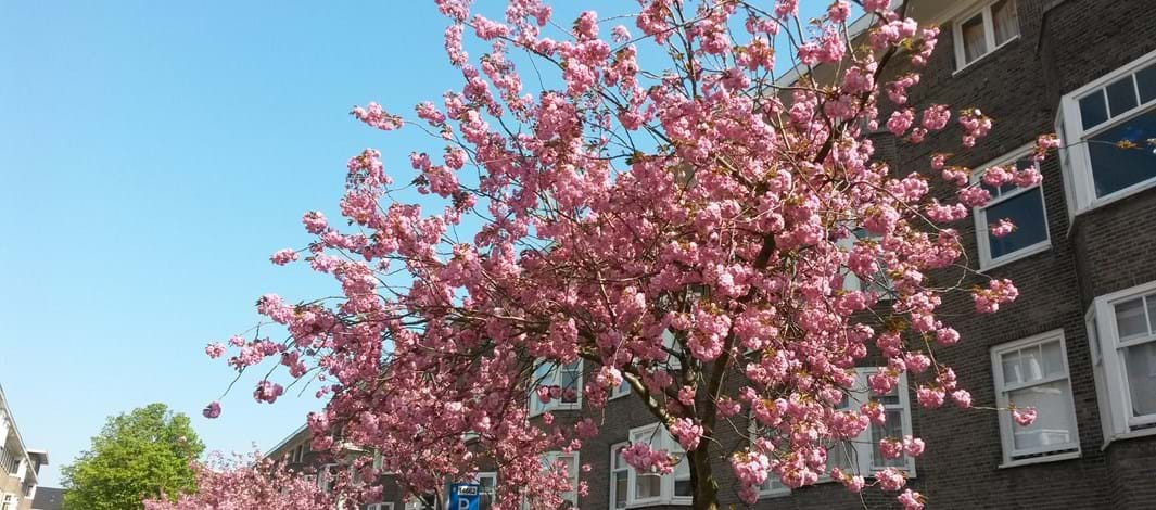 Stukje Rivierenbuurt