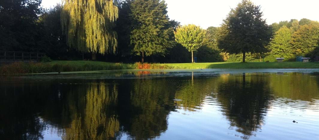 Willem Wiesepark