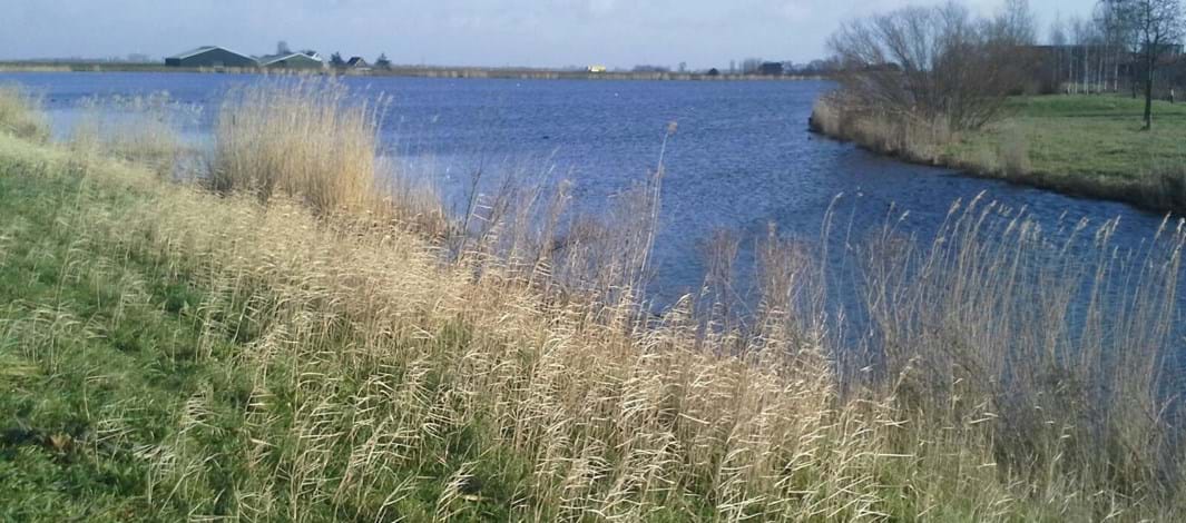 benthuizerplas