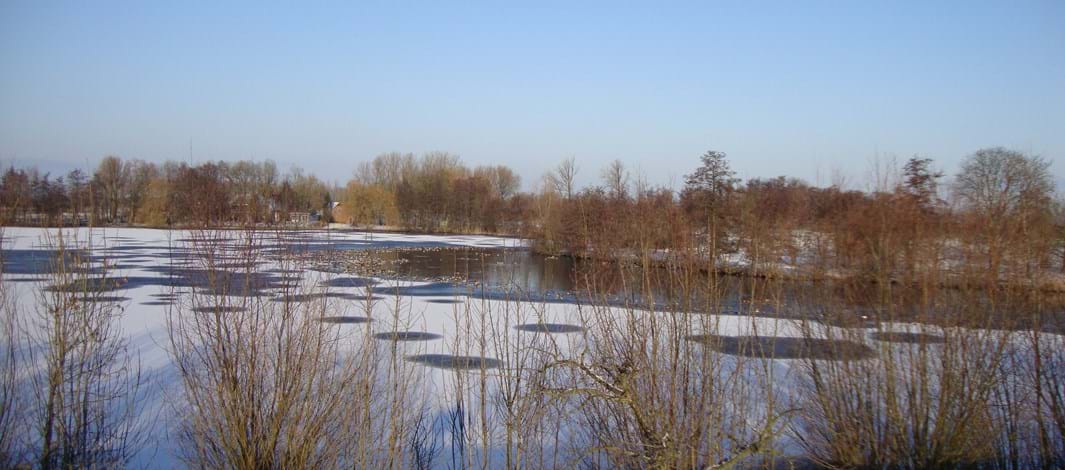 Schoonrewoerd buiten gebied