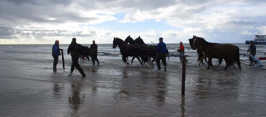 strand tjettepad