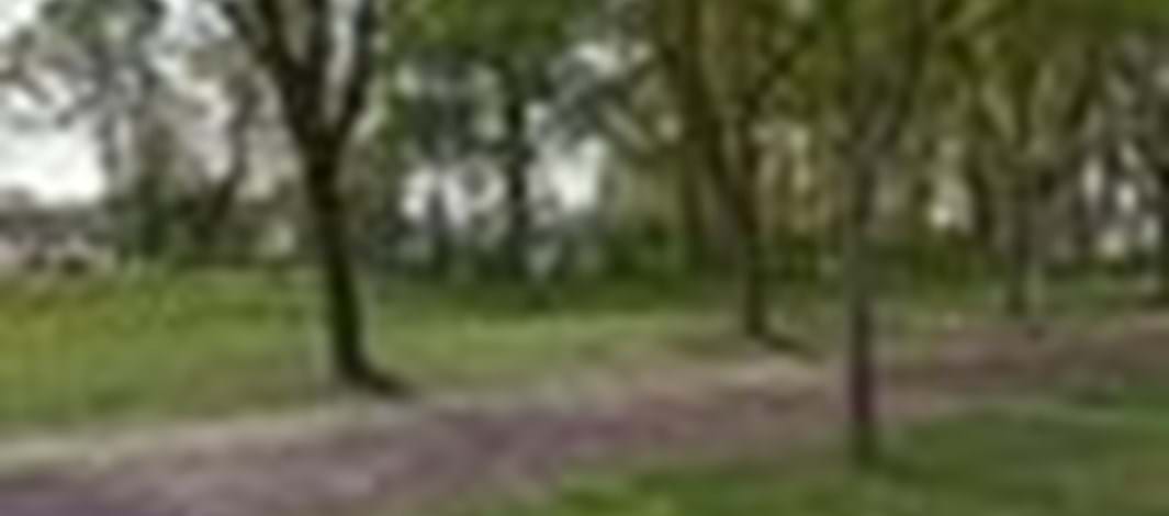 Natuurpark ''Oud-WEST''