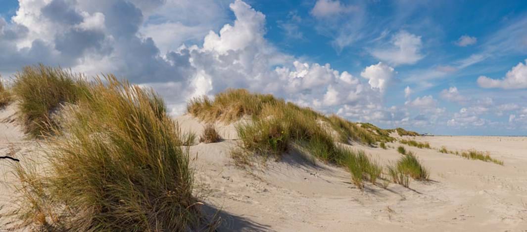 Het strand van oosterend