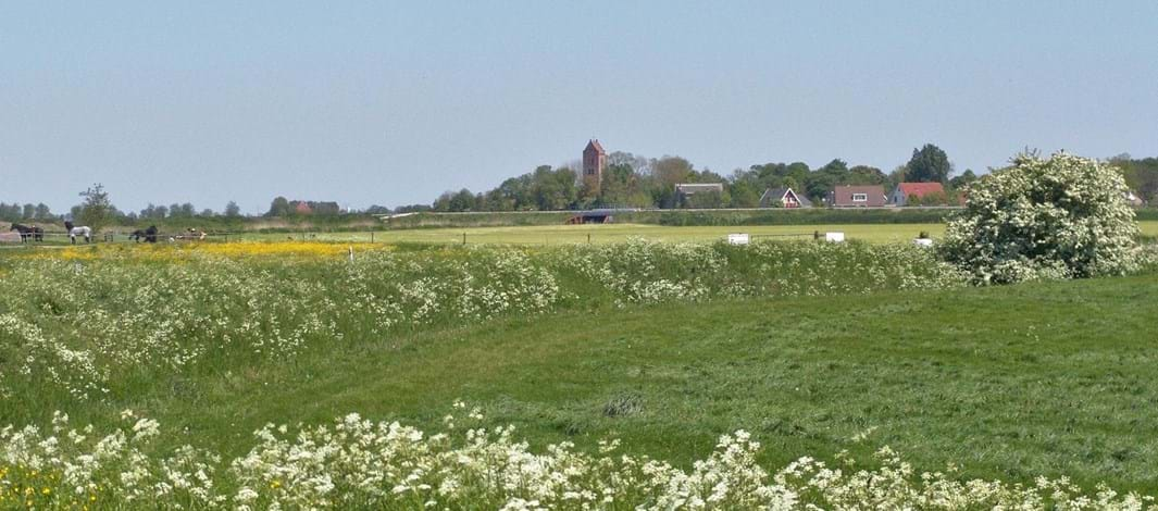 Slachte-, Suder- en Sylsterdyk & Flearen