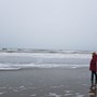 Merel Taling
