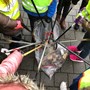 Kinderopvang Langedijk locatie BSO “ de Krullevaar